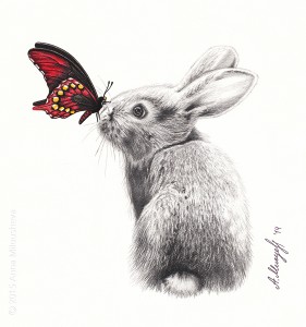 Rabbit-and-Butterfly-drawing                       